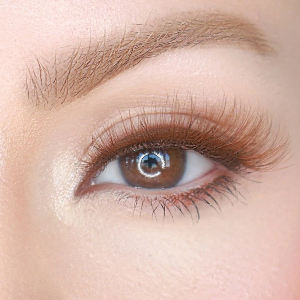 MoxieLash Wifey Lash Magnetic Eyelashes - Brown